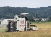 我国早稻单产首破400公斤：科技赋能书写“禾下乘凉梦”新篇章