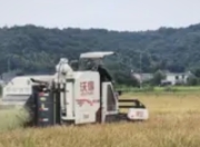 我国早稻单产首破400公斤：科技赋能书写“禾下乘凉梦”新篇章