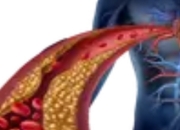 高温天如何给血管"降温"？科学方法守护心血管健康