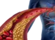 高温天如何给血管"降温"？科学方法守护心血管健康