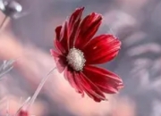 人生百态句子最适合发朋友圈，点击了解