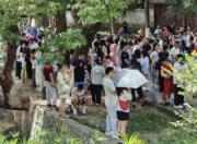 年轻人组队勇闯公园相亲角